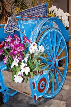 一盒蓝色的装花的花盆