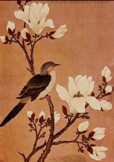 花鸟画中国古画0012