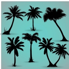 夏季椰树岛屿图片