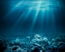 蓝色海底世界