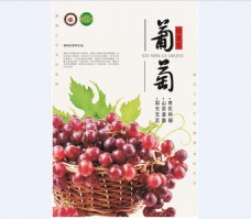 葡萄清新宣传海报