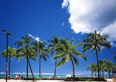 光影夏威夷风光摄影