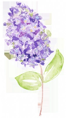浅紫色手绘花朵花枝装饰素材