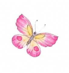 粉色蝴蝶装饰素材