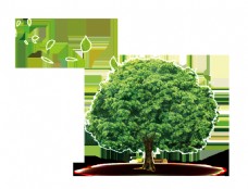 绿树创意绿色大树透明素材
