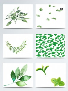 绿色叶子二十四节气立春手绘树叶图案集合