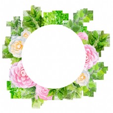 圆形素材手绘圆形花卉PNG透明素材
