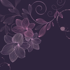 紫色花朵插画背景
