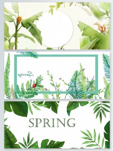 春季背景春季绿植清新广告背景海报psd背景