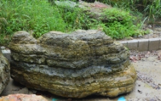 天然海岩景观石图片