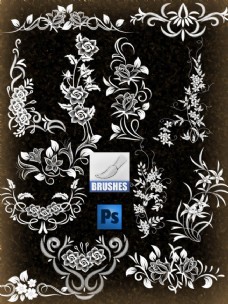 典雅花纹典雅漂亮的植物艺术花纹photoshop笔刷素材