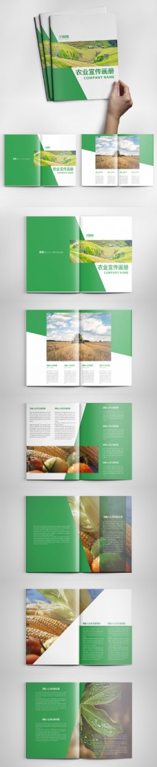 大气绿色农业宣传画册设计PSD模板