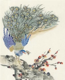 花鸟 中国画 50