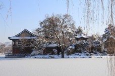 唯美冬季雪景风景图片