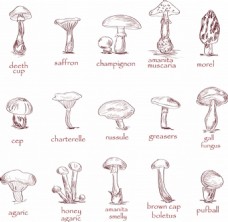 蘑菇图案