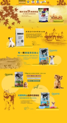枫叶淘宝宠物用品海报全屏可爱狗粮黄色
