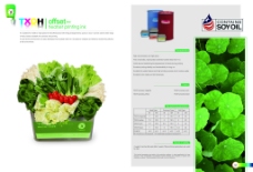宣传册蔬菜页面画册