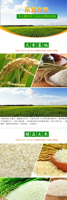 淘宝粮食大米详情设计图片