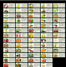 榴莲招贴水果介绍水果营养价值图片