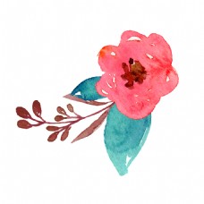 手绘美丽的一朵红花装饰素材