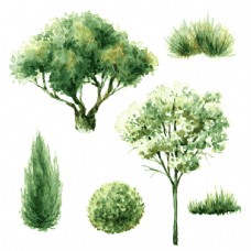 绿树绿色水彩绘植物大树插画