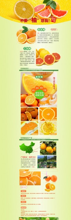 桔柚页面设计图片