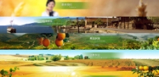 农业网站广告图 banner图片