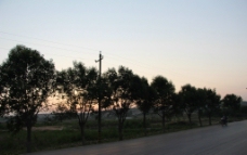 夕阳下 的马路图片