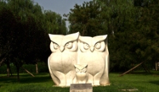 石雕猫头鹰图片