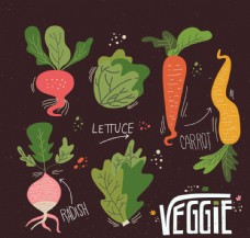 彩绘蔬菜图片