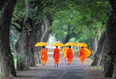 圣教打伞的印度佛教圣人