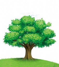 绿树卡通绿色大树png元素