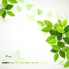 光斑绿色树叶海报设计