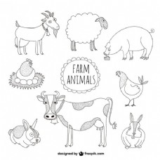 农场动物插图