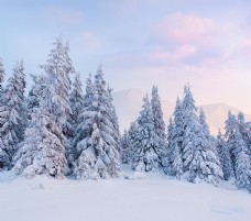 高清雪景背景素材
