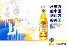 tiger啤酒海报