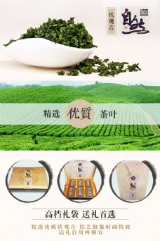 自然道铁观音茶叶海报设计