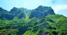 绿色的山野图片