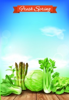 健康绿色蔬菜农场海报背景