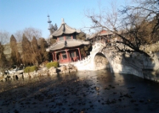 古莲花池的冬天图片