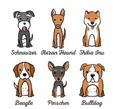 宠物狗六种不同品种的狗