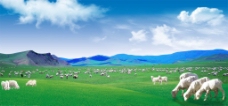 绿背景草原羊群