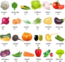 水果蔬菜蔬菜和水果