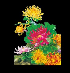 色彩鲜艳手绘菊花装饰元素