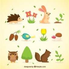 春季动物与自然收藏