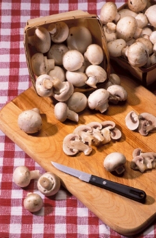 白蘑菇图片