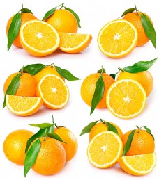 高清橙子广告素材