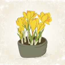手绘黄色花朵盆栽矢量素材