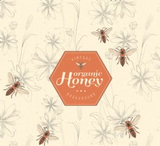 优雅的蜂蜜与蜜蜂的背景