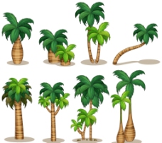 精美椰子树矢量素材图片